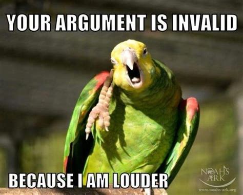 parrot memes